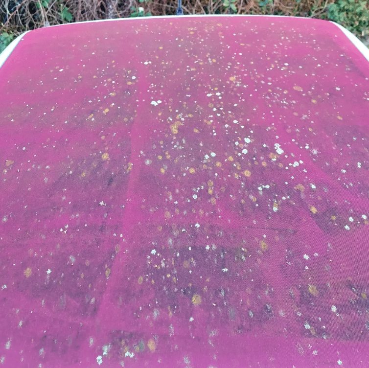 Sterk vervuild cabriodak met korstmossen en groene aanslag — voor behandeling bij A1 Car Cleaning